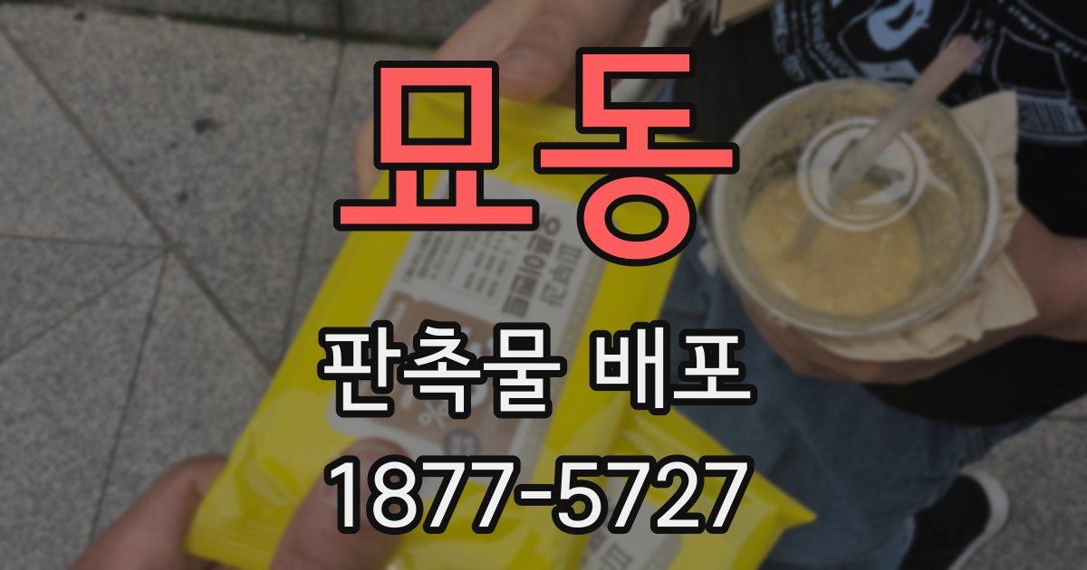 묘동 판촉물 배포