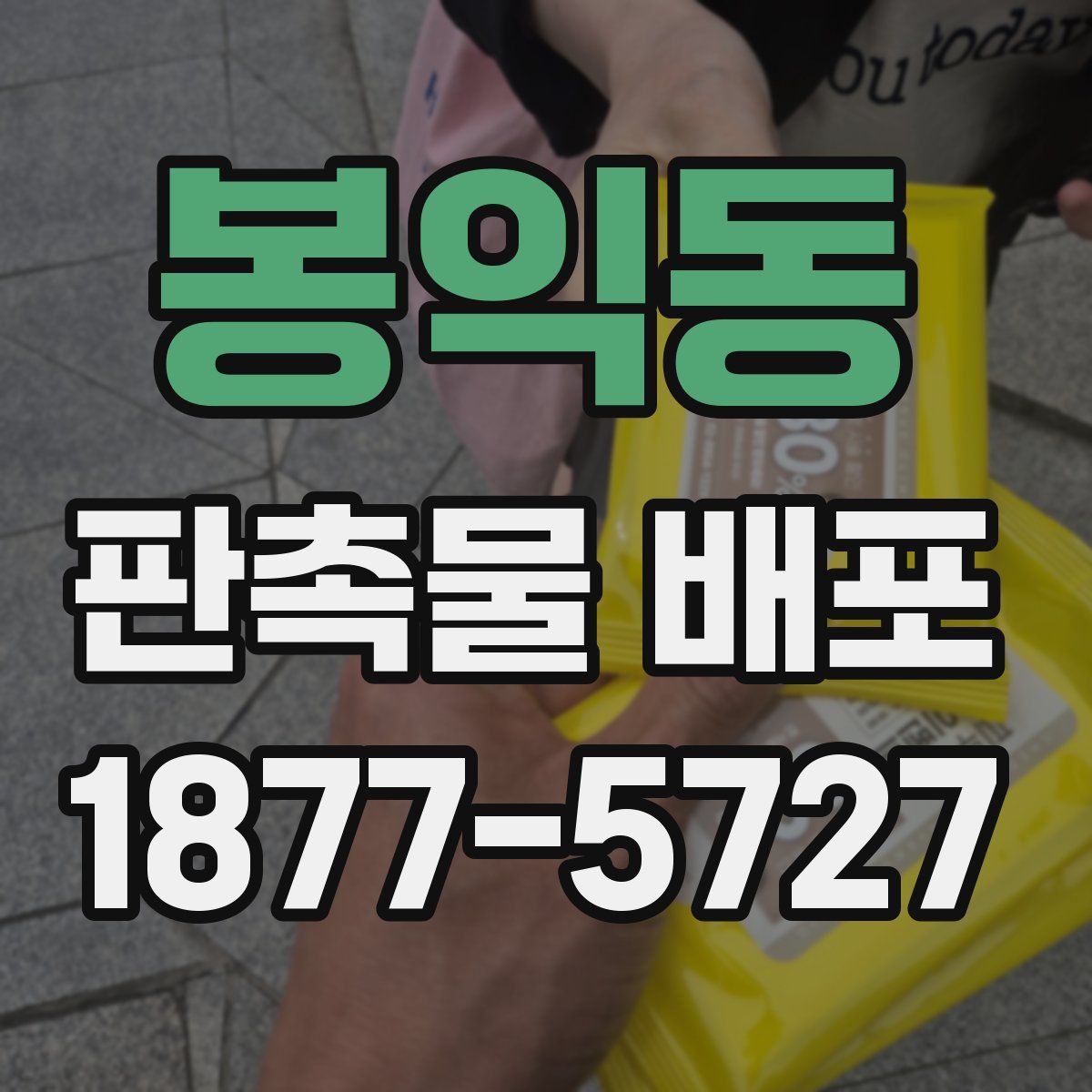 봉익동 판촉물 배포