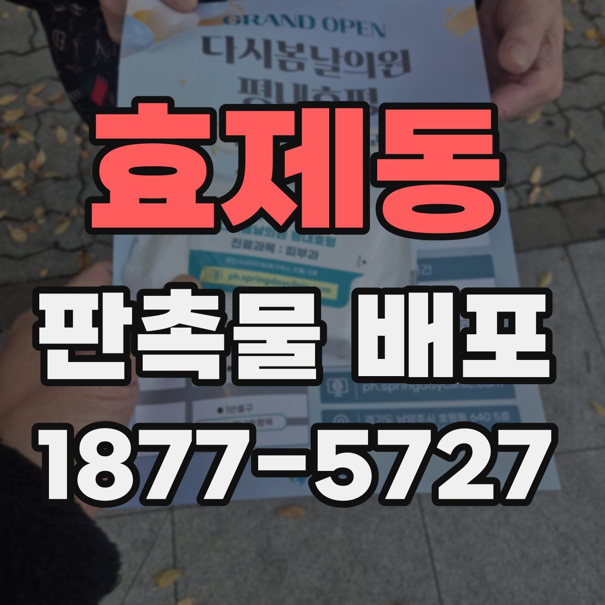 효제동 판촉물 배포
