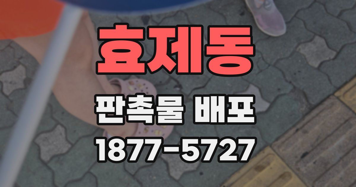 효제동 판촉물 배포