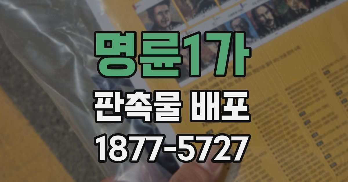명륜1가 판촉물 배포