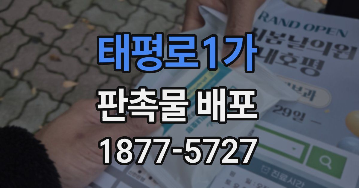 태평로1가 판촉물 배포