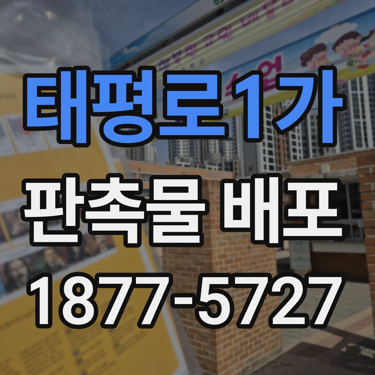 태평로1가 판촉물 배포
