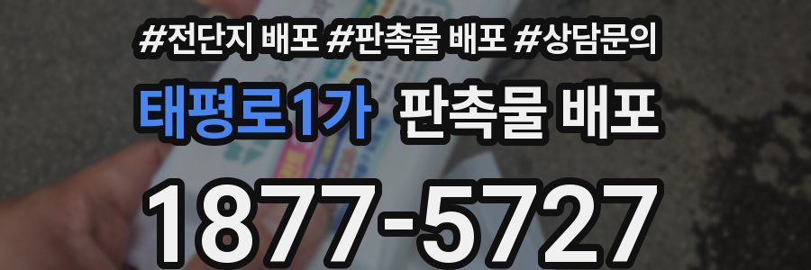 태평로1가 판촉물 배포