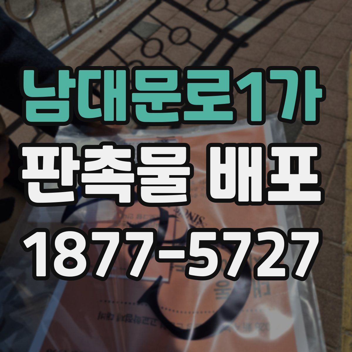 남대문로1가 판촉물 배포