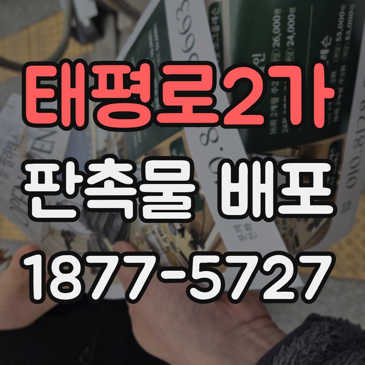 태평로2가 판촉물 배포
