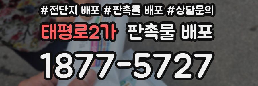 태평로2가 판촉물 배포