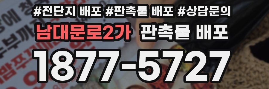 남대문로2가 판촉물 배포