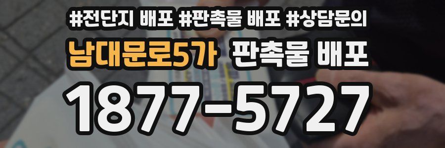 남대문로5가 판촉물 배포