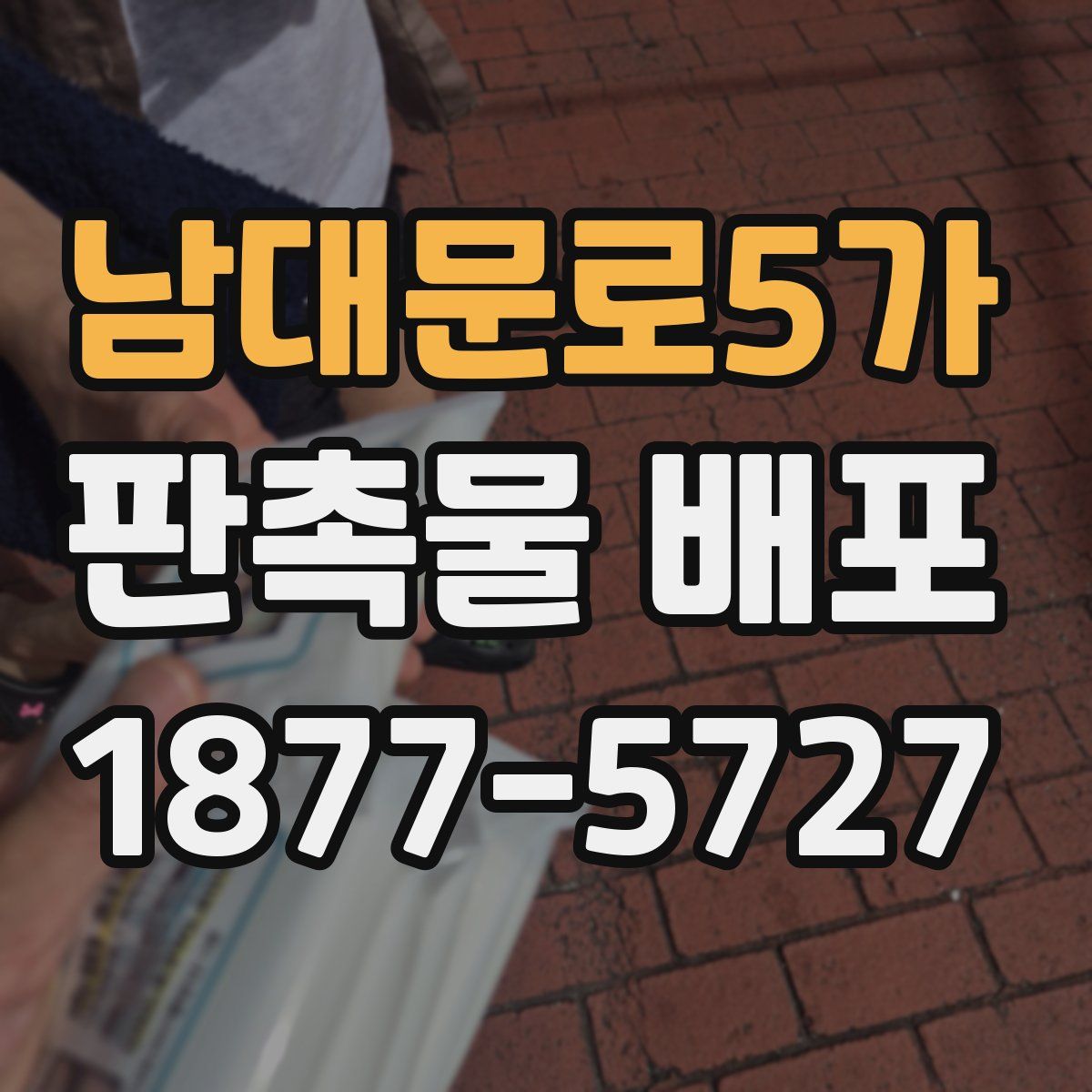 남대문로5가 판촉물 배포