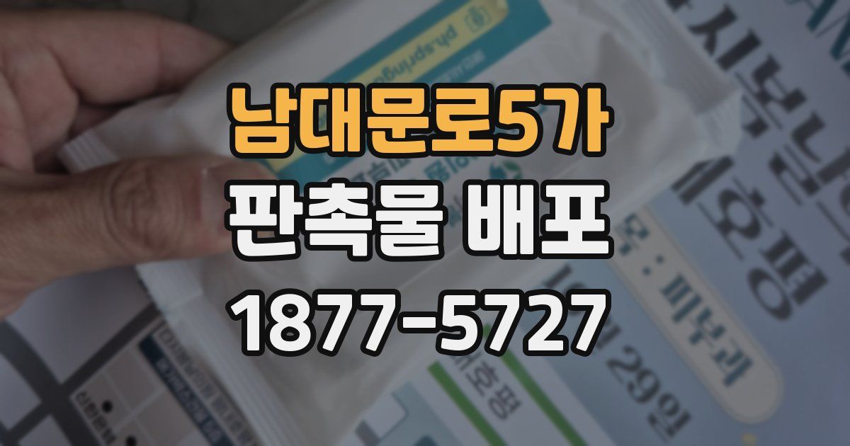 남대문로5가 판촉물 배포