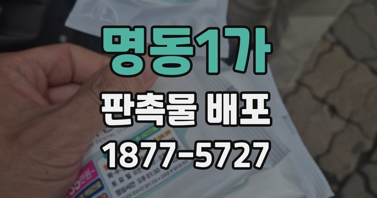 명동1가 판촉물 배포