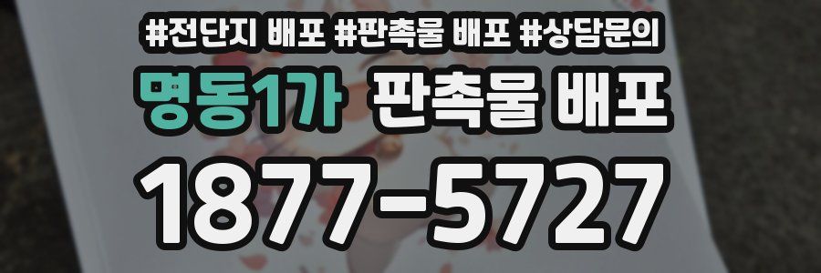 명동1가 판촉물 배포