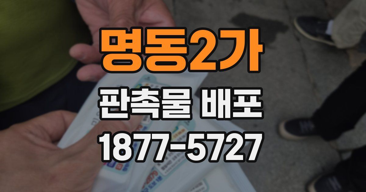 명동2가 판촉물 배포