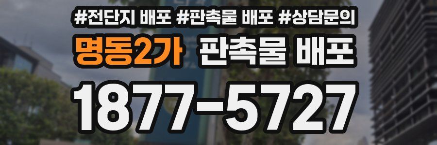 명동2가 판촉물 배포