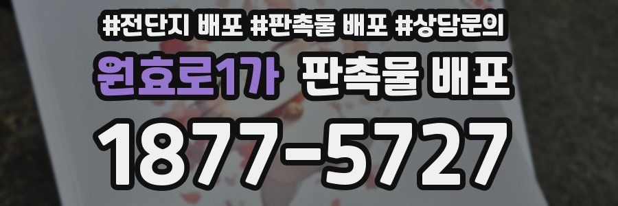 원효로1가 판촉물 배포