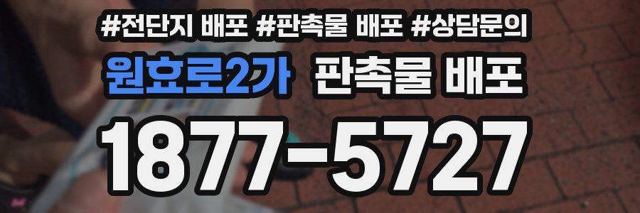 원효로2가 판촉물 배포