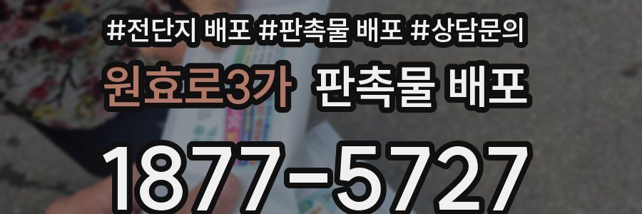 원효로3가 판촉물 배포