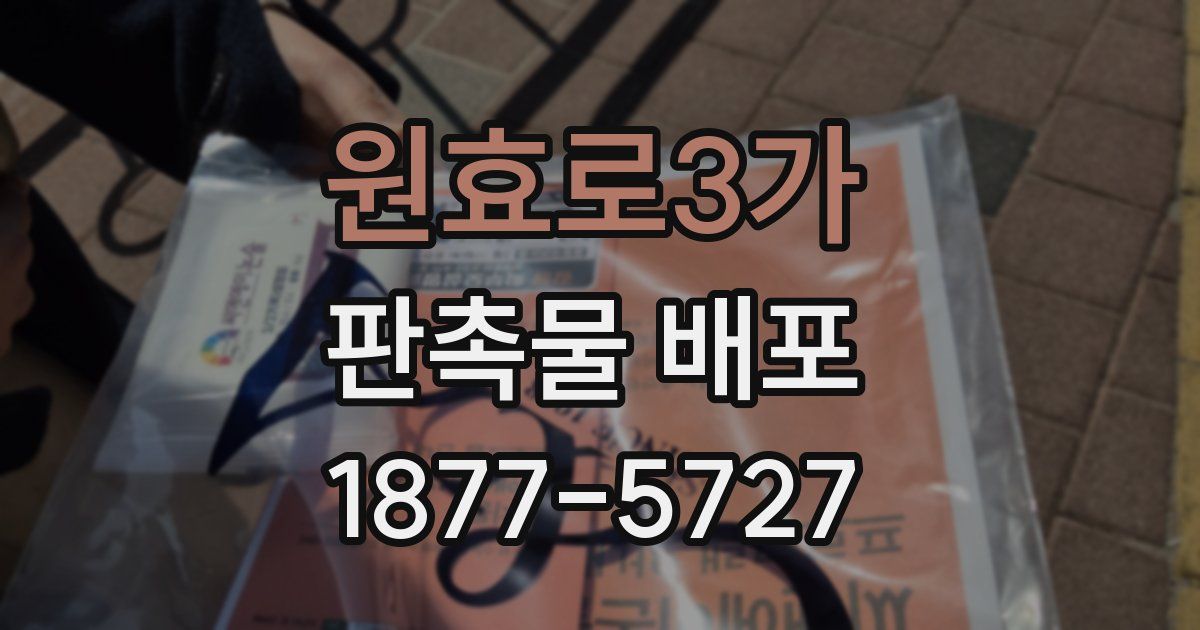 원효로3가 판촉물 배포