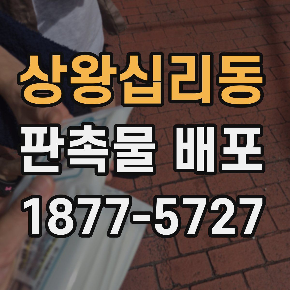 상왕십리동 판촉물 배포
