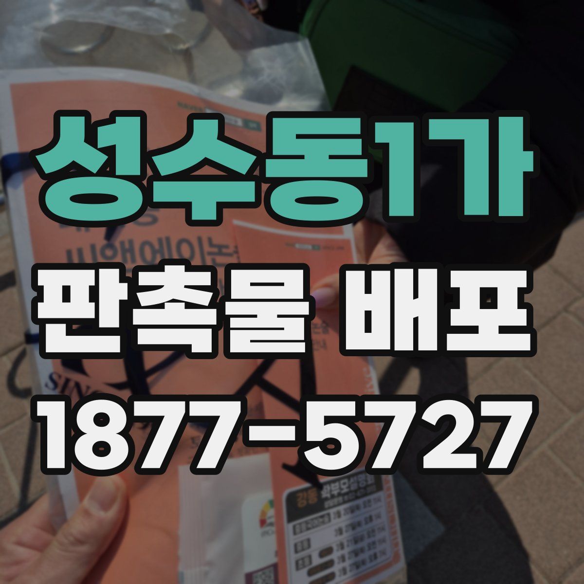 성수동1가 판촉물 배포