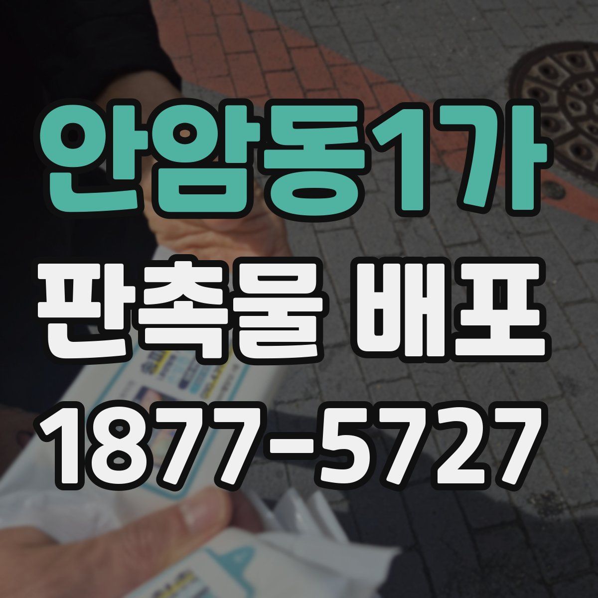 안암동1가 판촉물 배포