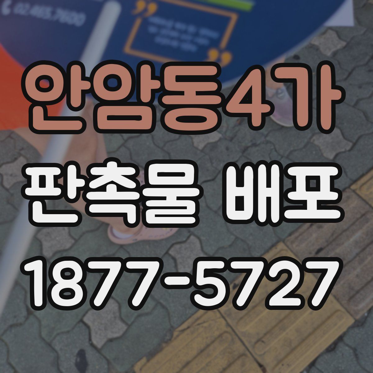 안암동4가 판촉물 배포