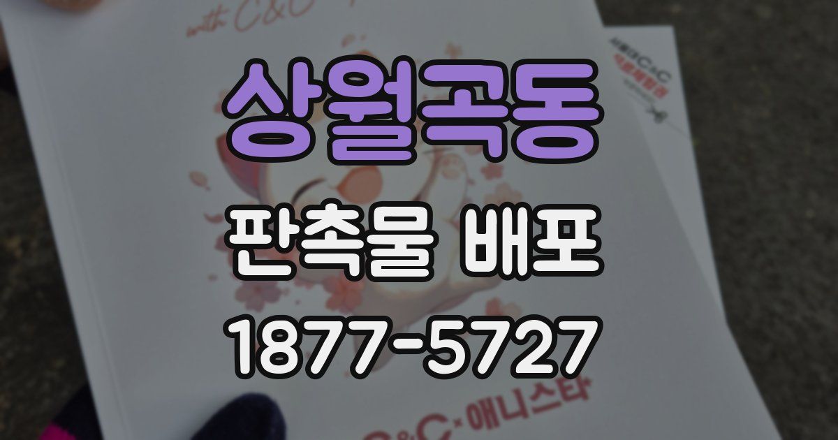 상월곡동 판촉물 배포
