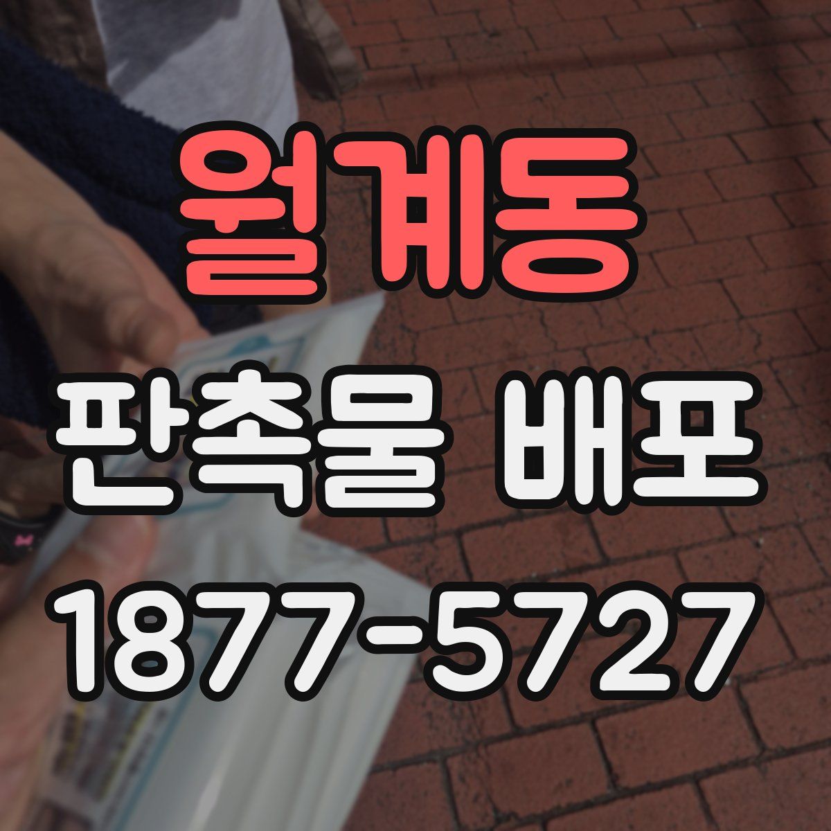 월계동 판촉물 배포