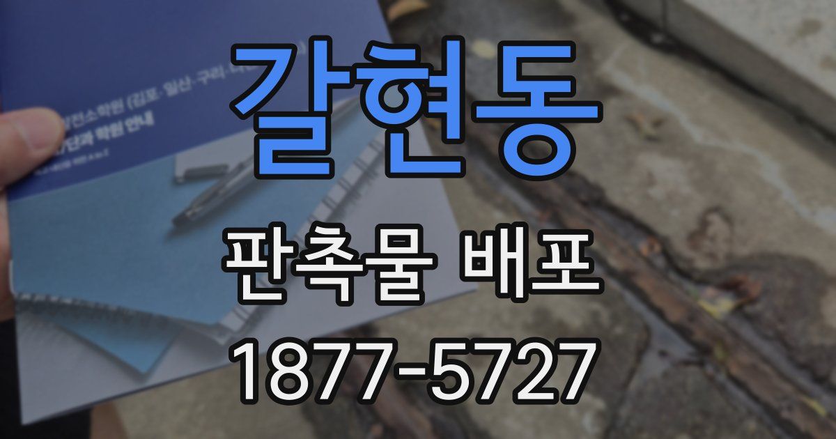 갈현동 판촉물 배포