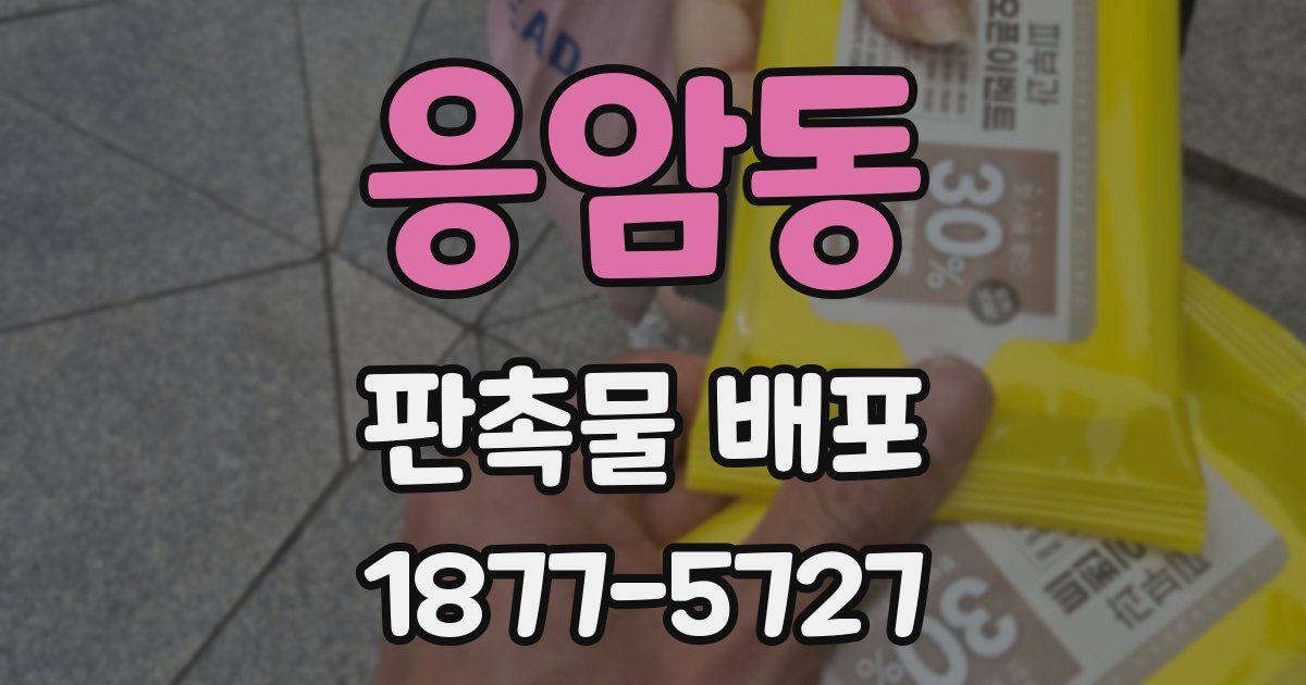 응암동 판촉물 배포