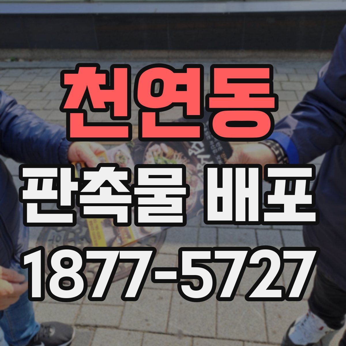 천연동 판촉물 배포