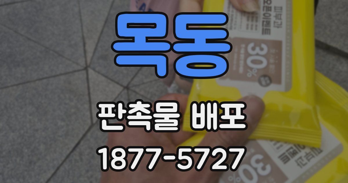 목동 판촉물 배포