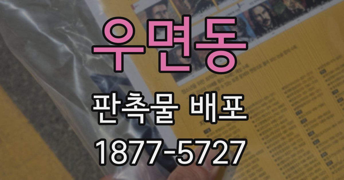 우면동 판촉물 배포