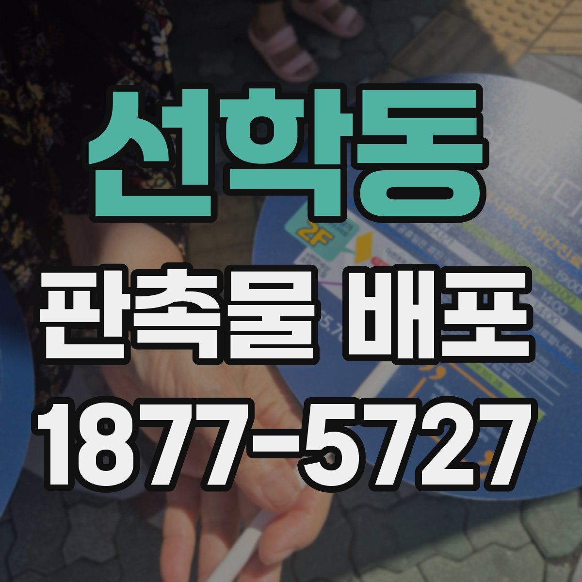 선학동 판촉물 배포
