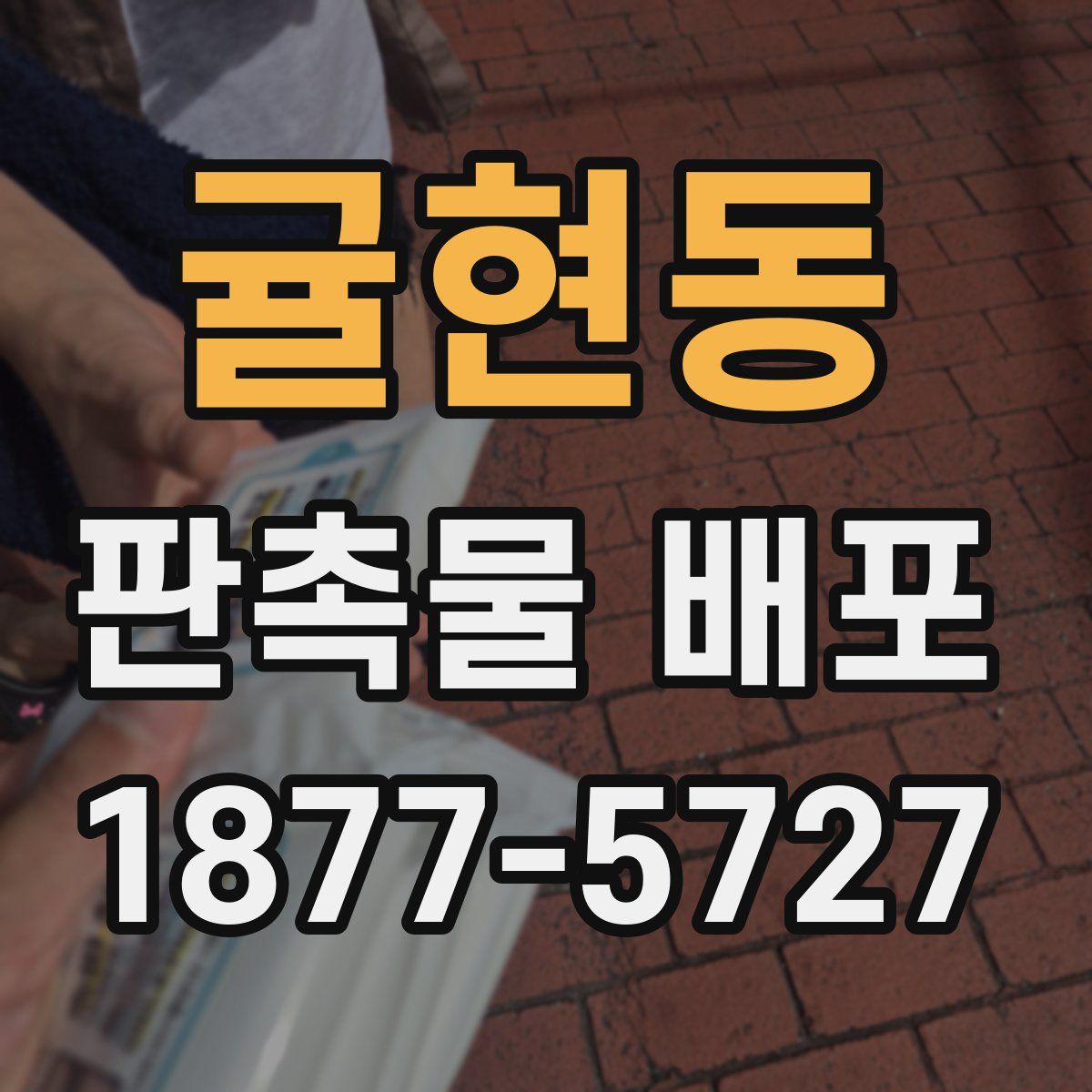 귤현동 판촉물 배포