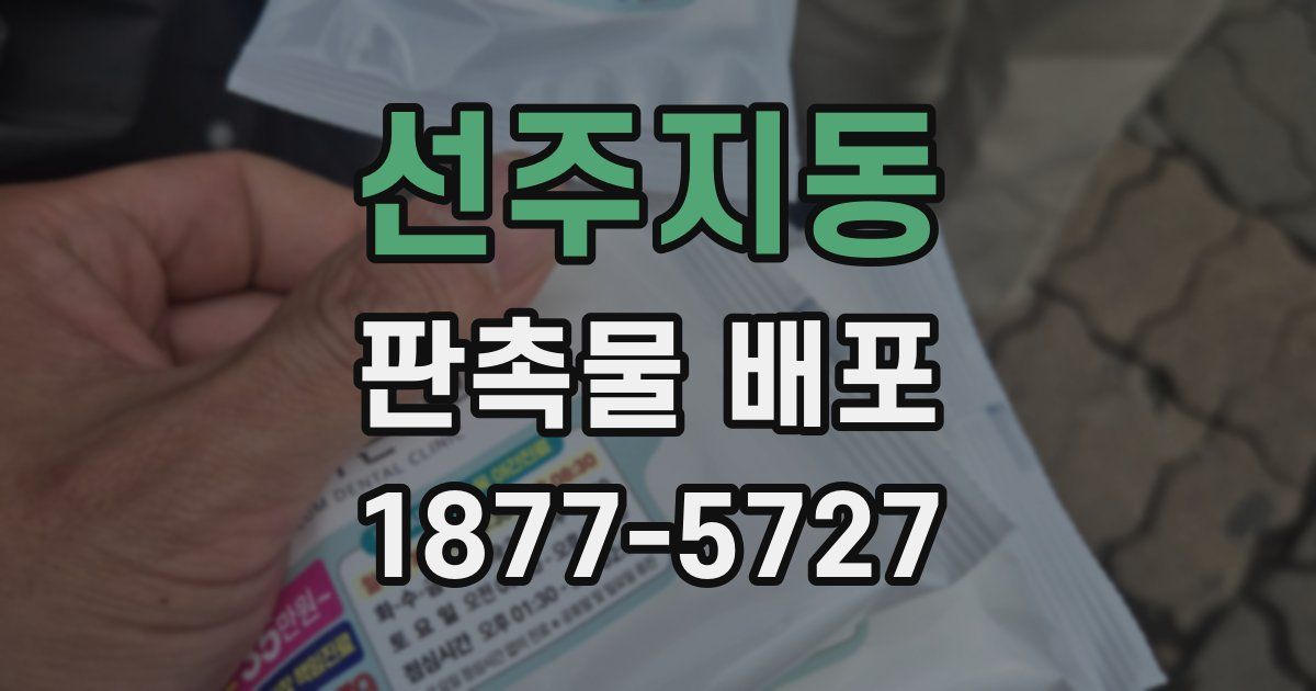 선주지동 판촉물 배포