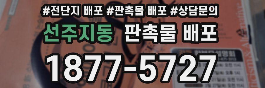 선주지동 판촉물 배포