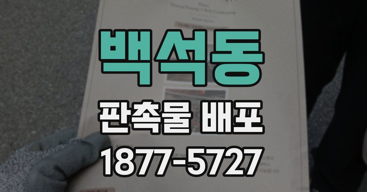 백석동 판촉물 배포