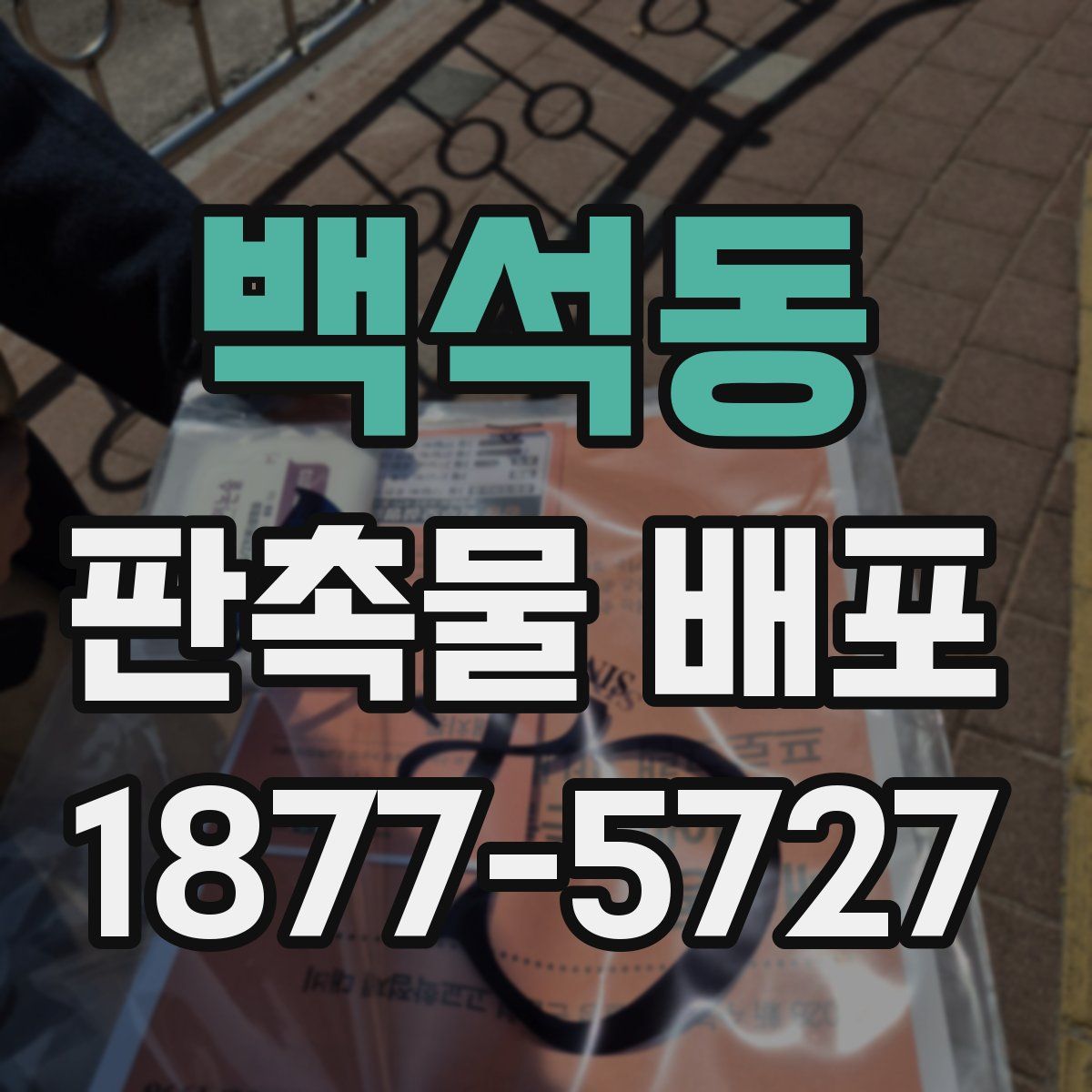 백석동 판촉물 배포