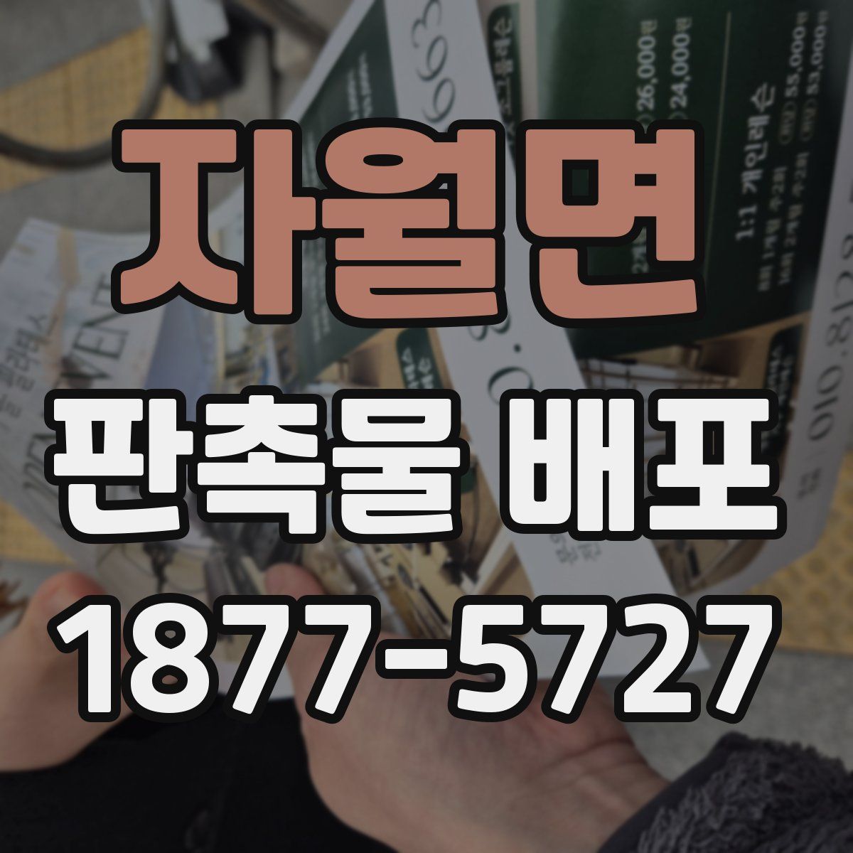 자월면 판촉물 배포