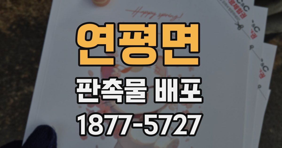 연평면 판촉물 배포