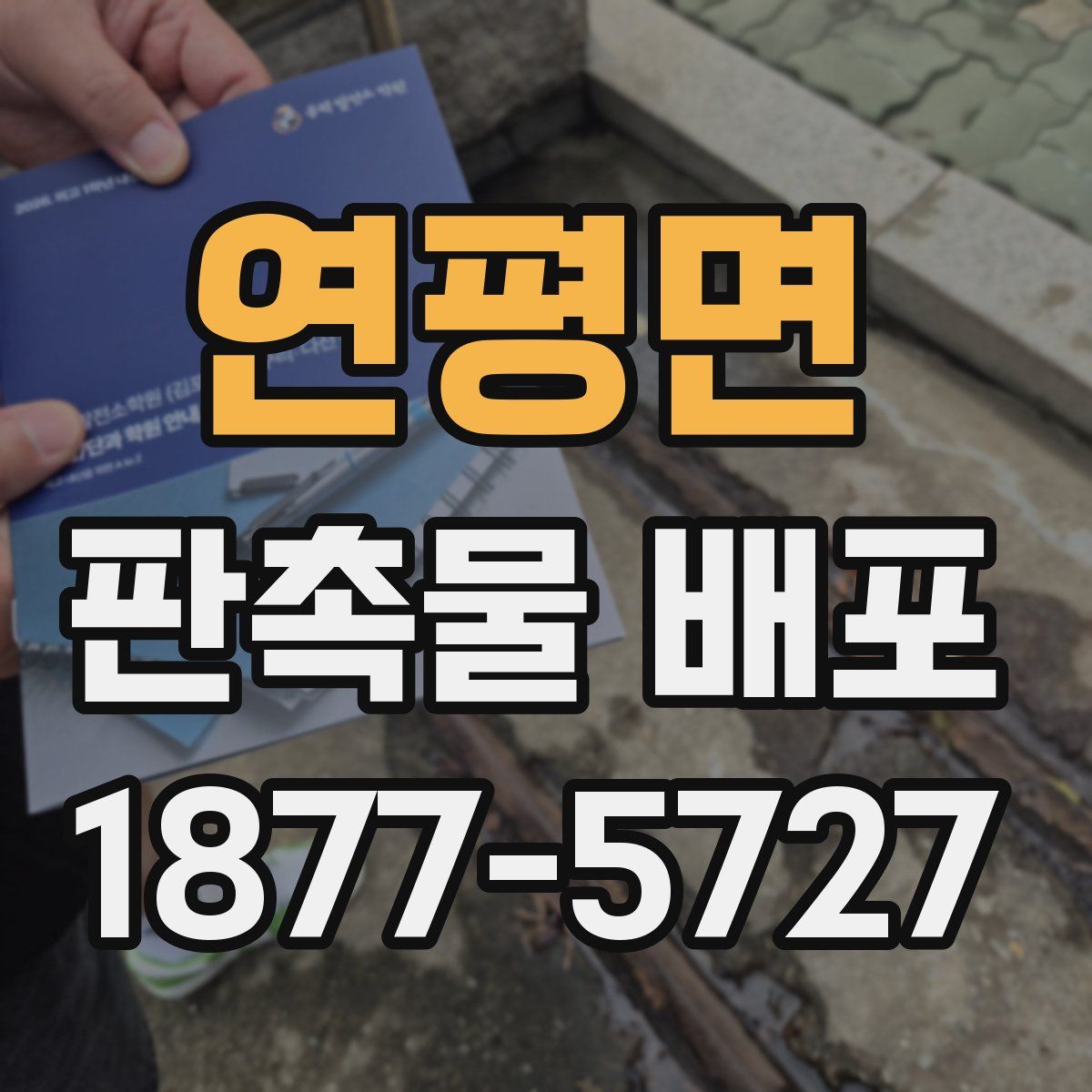 연평면 판촉물 배포