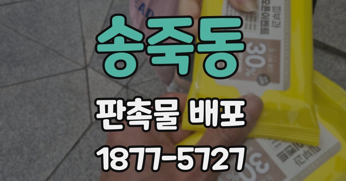 송죽동 판촉물 배포