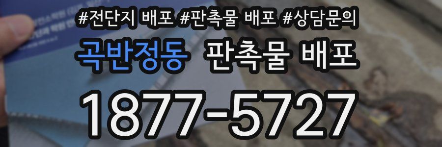 곡반정동 판촉물 배포