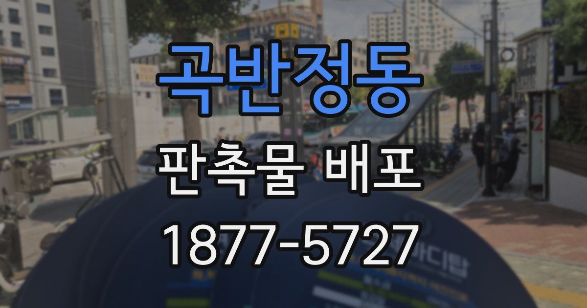 곡반정동 판촉물 배포