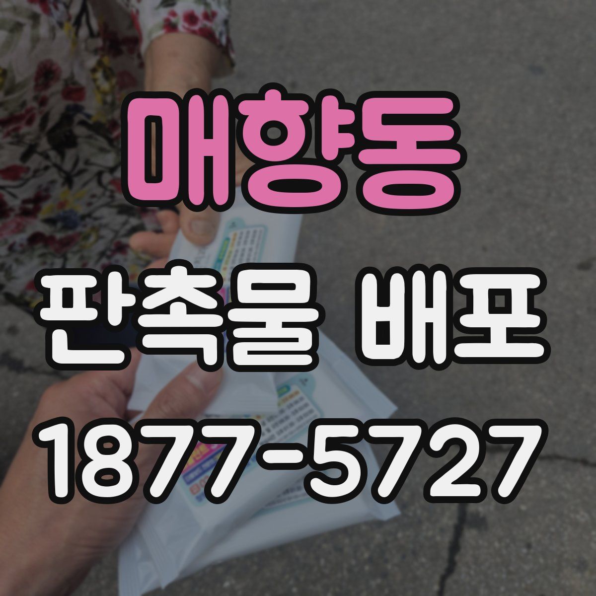 매향동 판촉물 배포