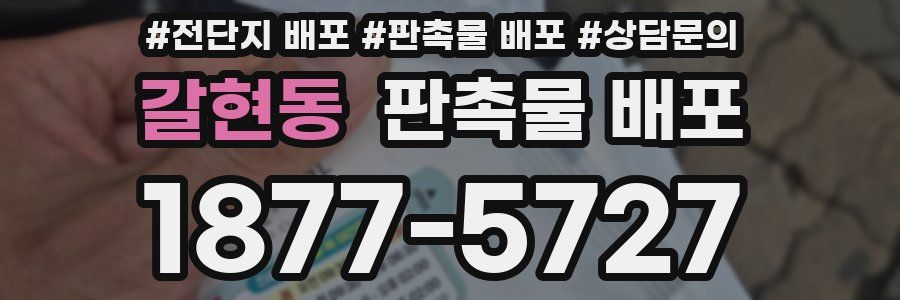 갈현동 판촉물 배포