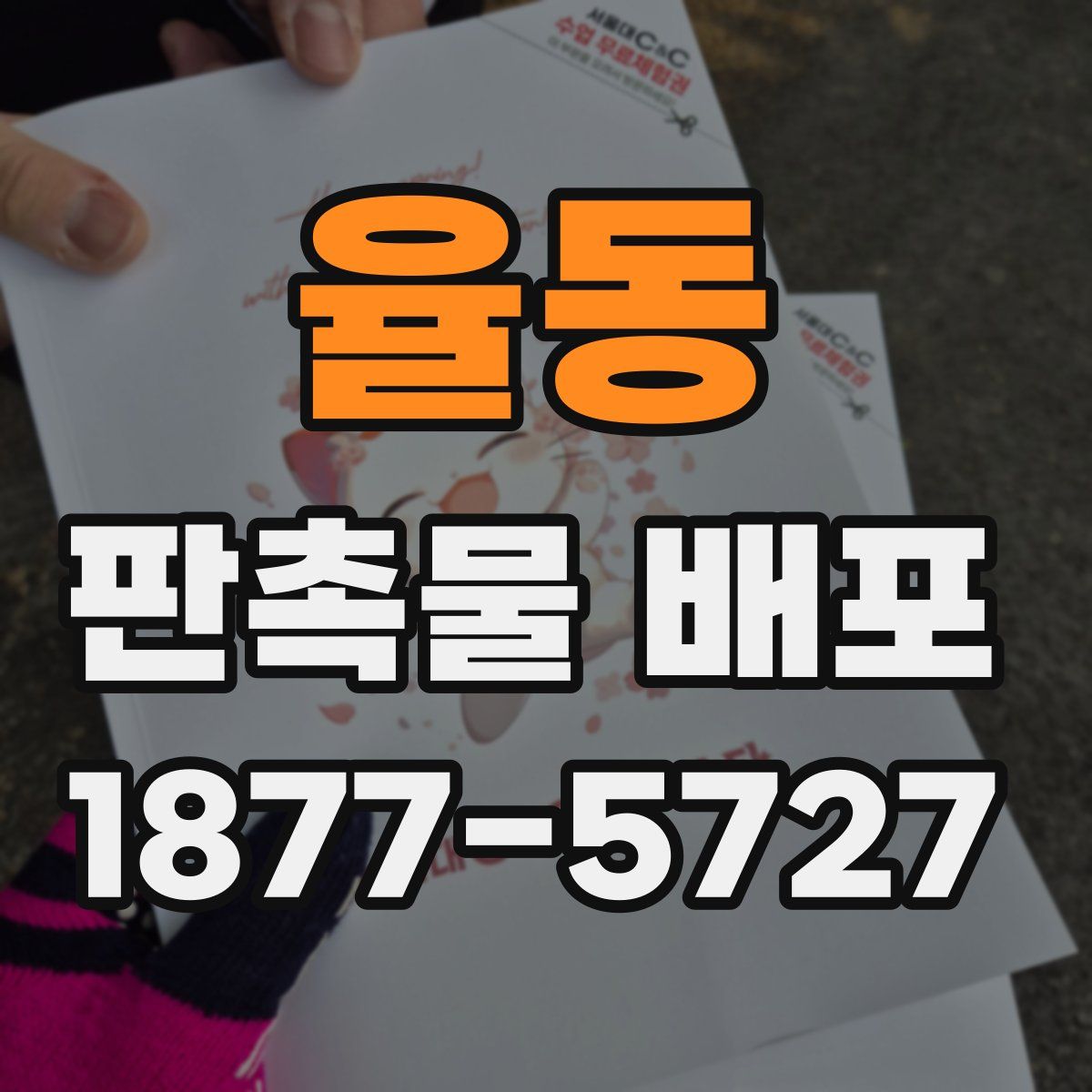 율동 판촉물 배포