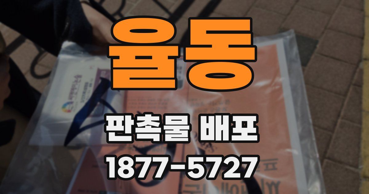 율동 판촉물 배포